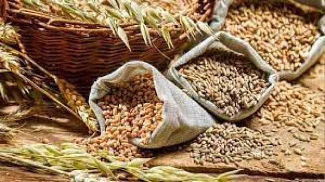 Chief Minister-Deputy Chief Minister will inaugurate Millet Festival