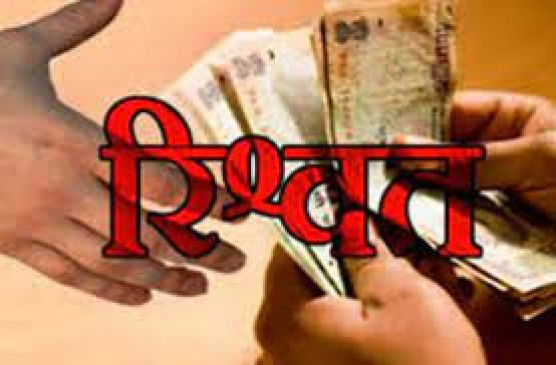 Engineer of Mahavitaran arrested for taking bribe of one thousand