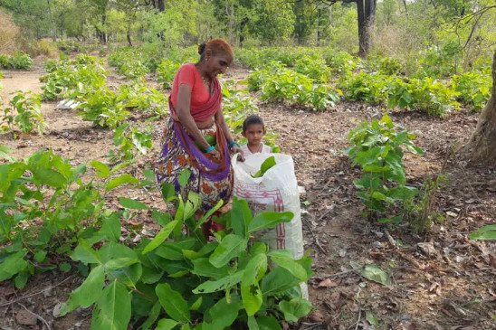 Every family of Gadchiroli will get ownership fee of Rs 3240