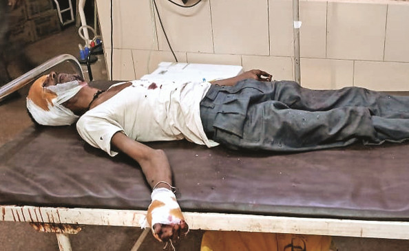 Farmer injured in bear attack