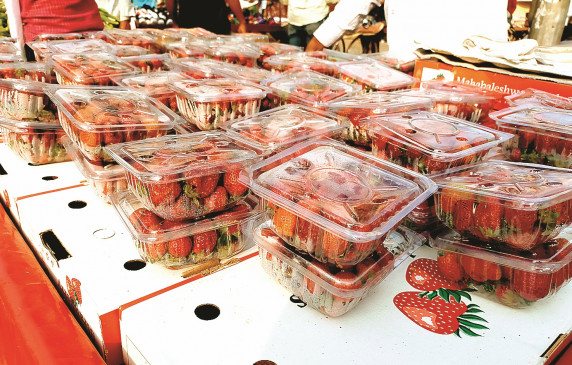 Heavy fall in prices due to bumper arrival, demand started increasing