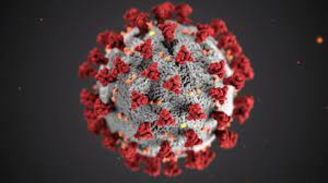 One new infected found in Washim district
