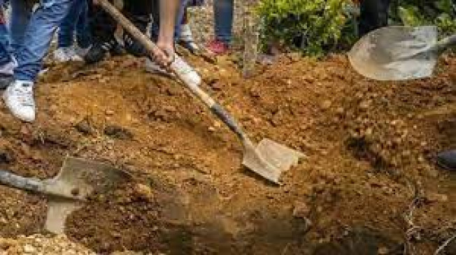 Person who came to be buried was found alive in the orphanage
