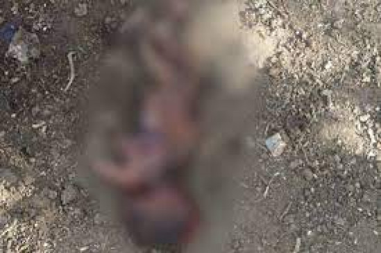 Sensation in Bhande Plot Chowk area – Fetus found in garbage