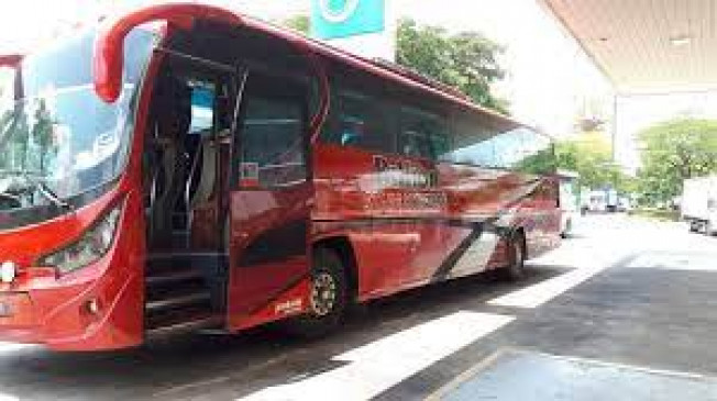 Star bus till katheshwar pagoda on mahashivratri