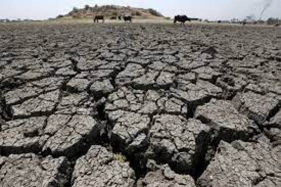 There is a possibility of drought in Maharashtra this year, the government is making a plan