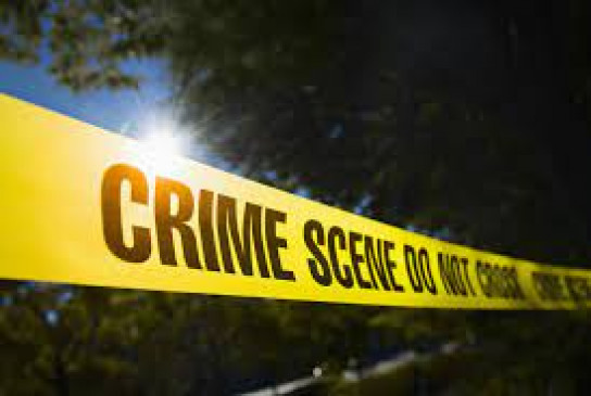 TV screen stolen from veterinary hospital, two minors caught