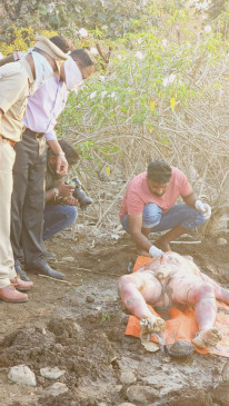 Youth killed due to competition in herbal business, body buried Youth killed due to competition in herbal business, body buried