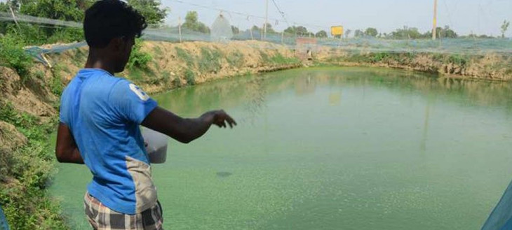 Fishermen got relief from the governments ordinance