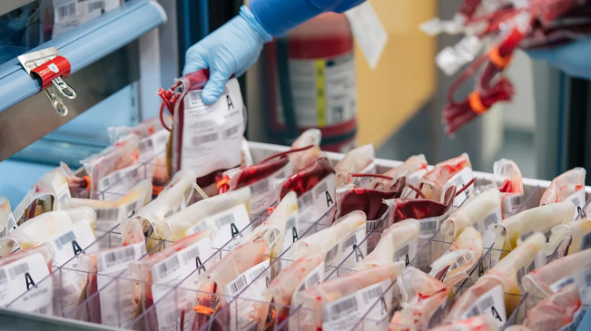Government blood bank will now cost Rs 650 more