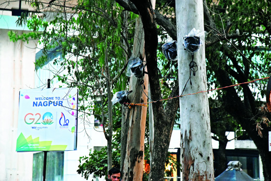 playing with the environment in the name of beautification