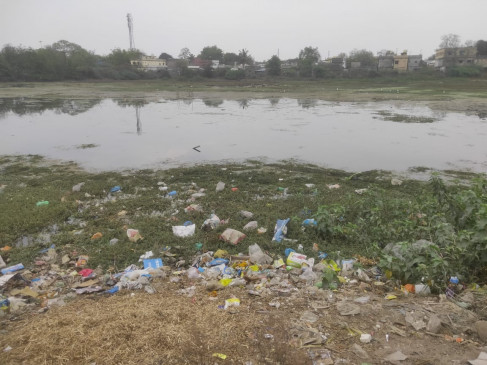 Two gond ponds fighting for survival