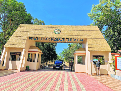 Two new routes for tourists in Pench, tigers can be easily seen Two new routes for tourists in Pench, tigers can be easily seen